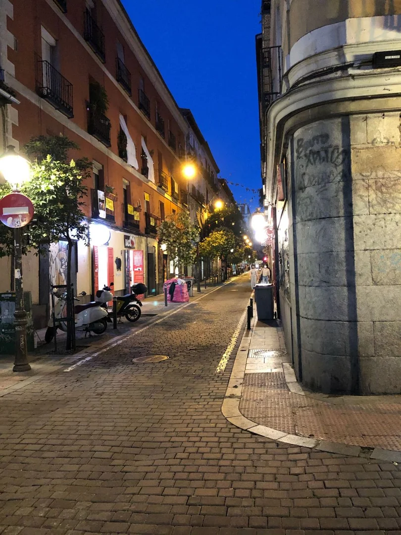 Ático en Calle de la Palma, 14, Malasaña-Universidad - Foto 24