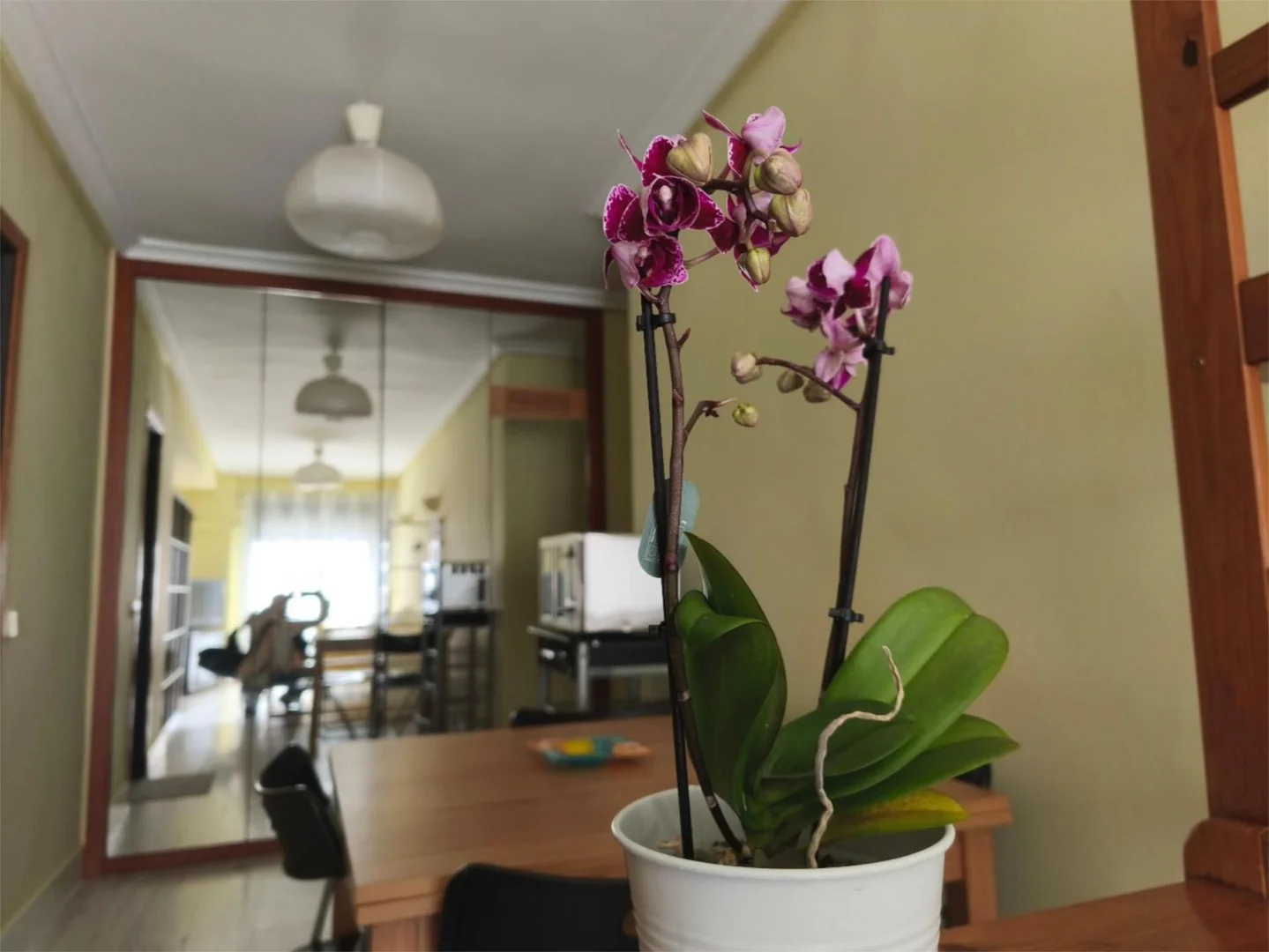 Piso en  Calle de Clara del Rey 39 - Foto 18