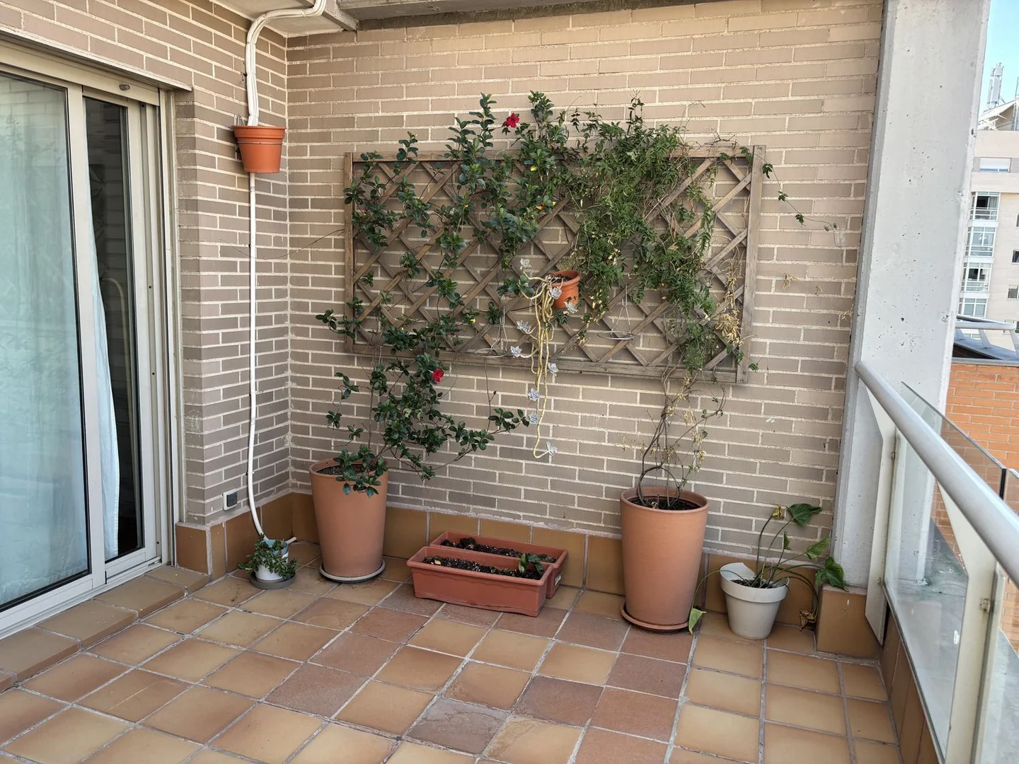 Ático en Calle de Antonio López, 246, Almendrales - Foto 17