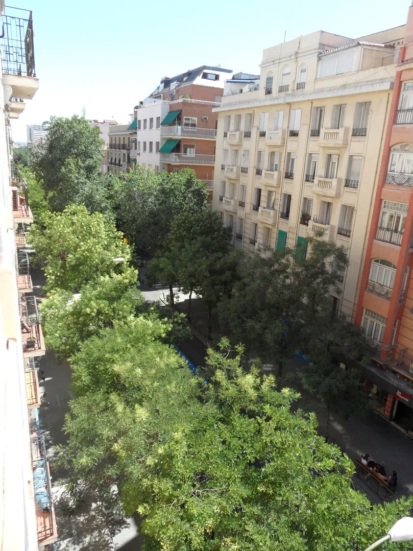 Piso en Calle Fernández de los Ríos, 63, Gaztambide - Foto 18