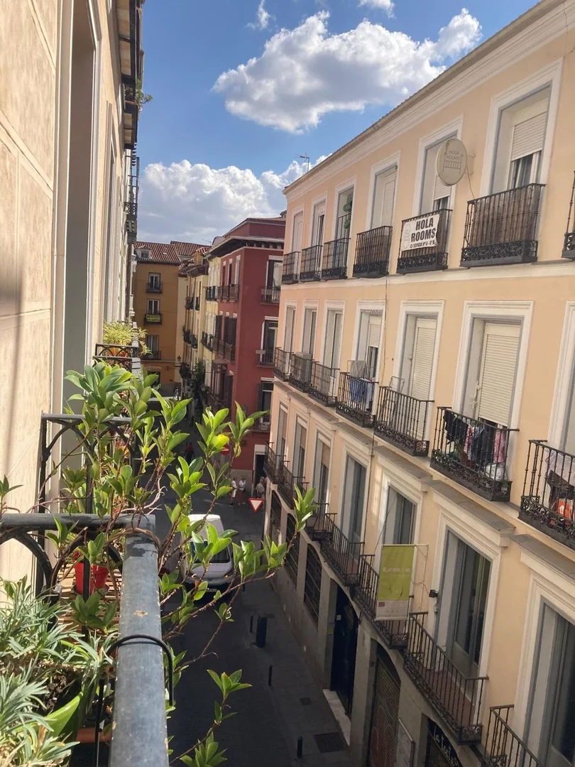 Piso en Calle de Jesús y María, 4, Lavapiés-Embajadores - Foto 18