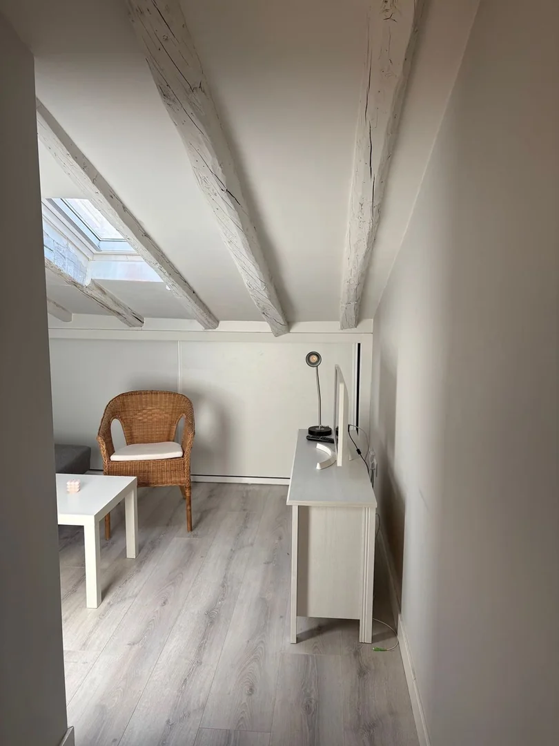 Piso en Calle de Santiago el Verde, 15, Lavapiés-Embajadores - Foto 9