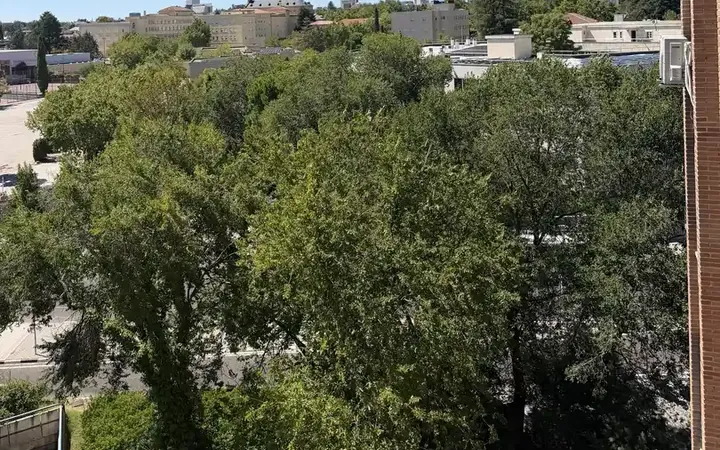 Piso en  Avenida de Pío XII 92A - Foto 10