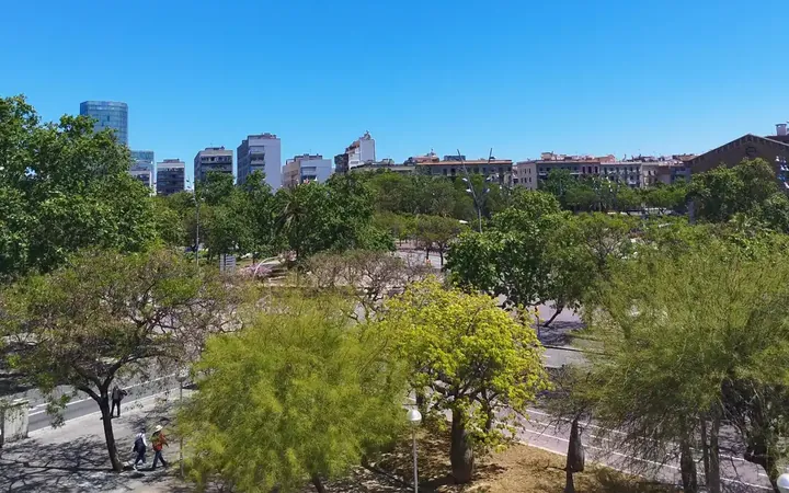 Piso en  Carrer de la Reina Cristina - Foto 15