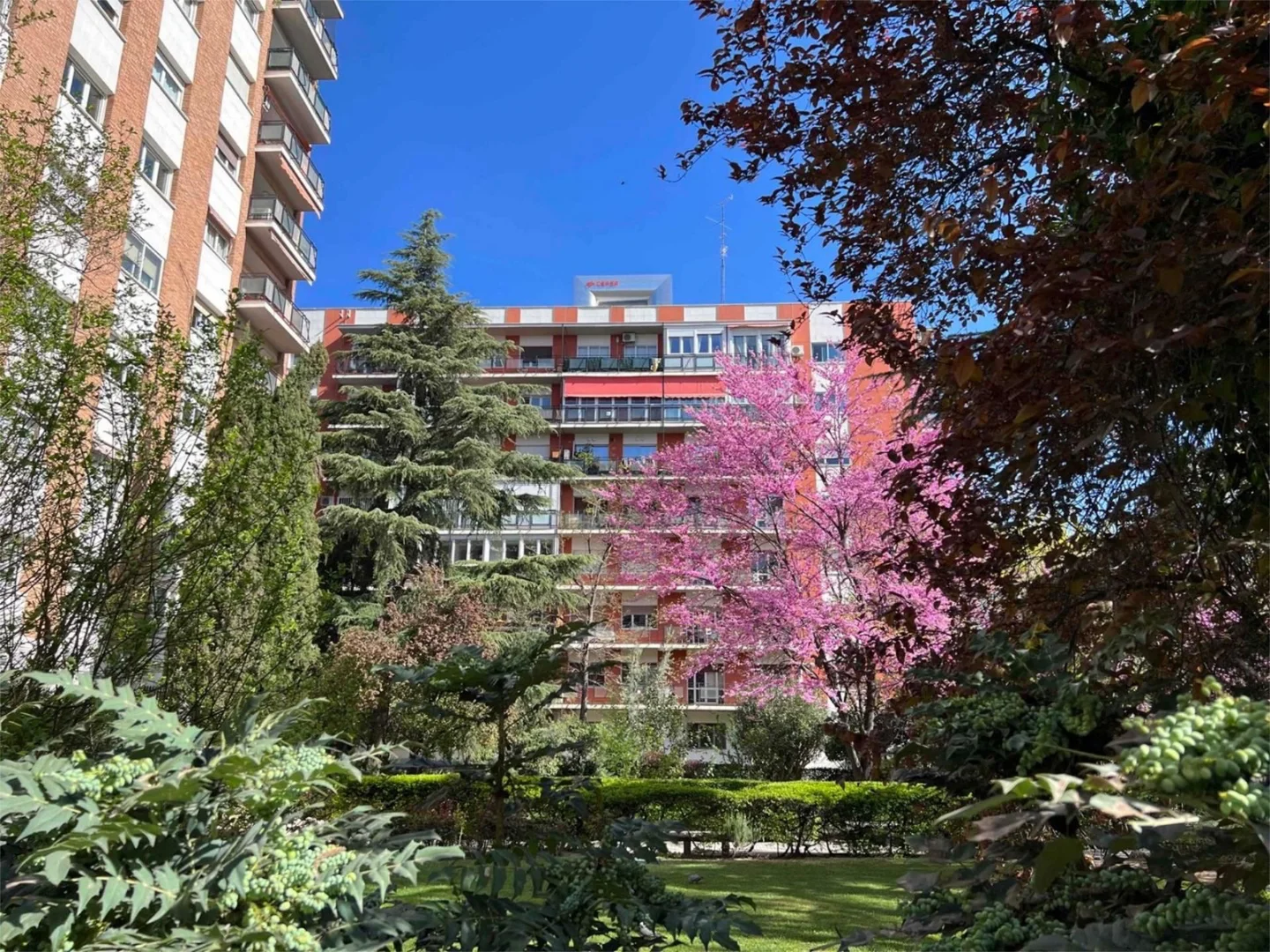 Piso en  Paseo de la Castellana 225 - Foto 20