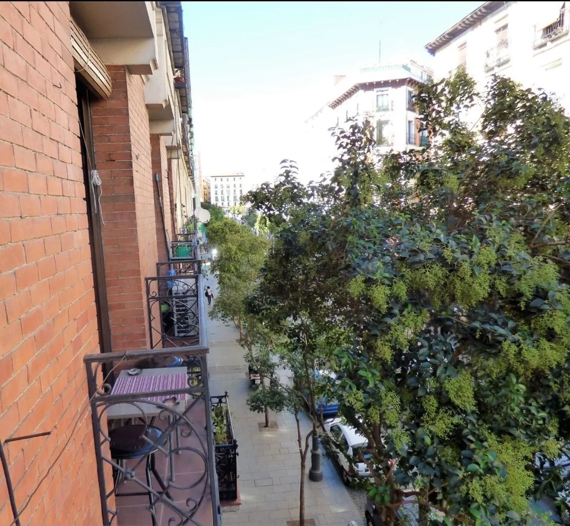 Piso en Calle de Valencia, 20, Lavapiés-Embajadores - Foto 16