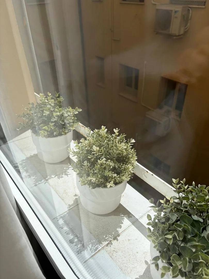 Piso en calle Velázquez, 47 - Foto 13