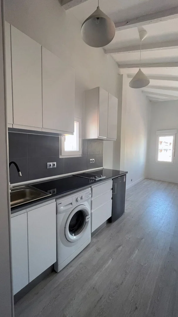 Estudio en Calle de Hermosilla, 130 - Foto 4