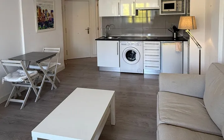 Estudio en Calle del Arquitecto Gaudí, 1, Nueva España - Foto 13