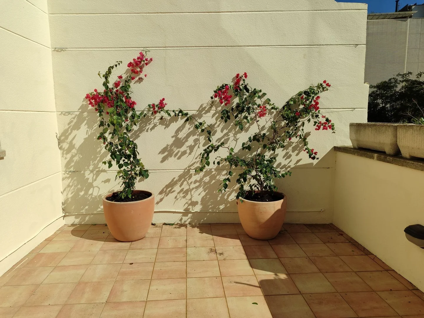 Piso en Barrio Vallvidrera - El Tibidabo i les Planes - Foto 15