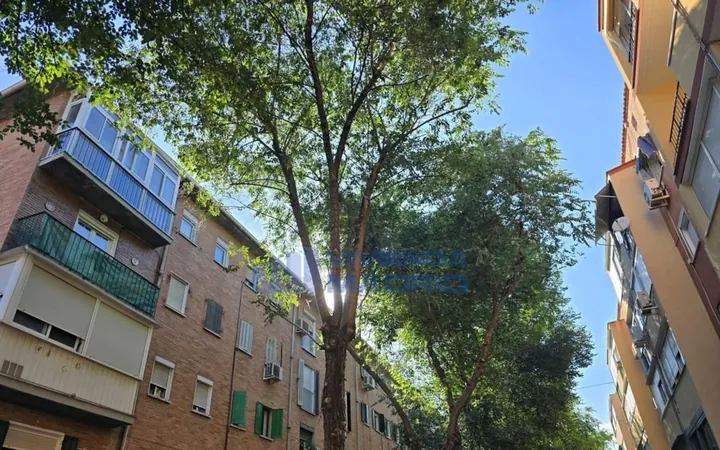 Piso en Calle de José Anduiza, Tres Olivos - Valverde - Foto 9