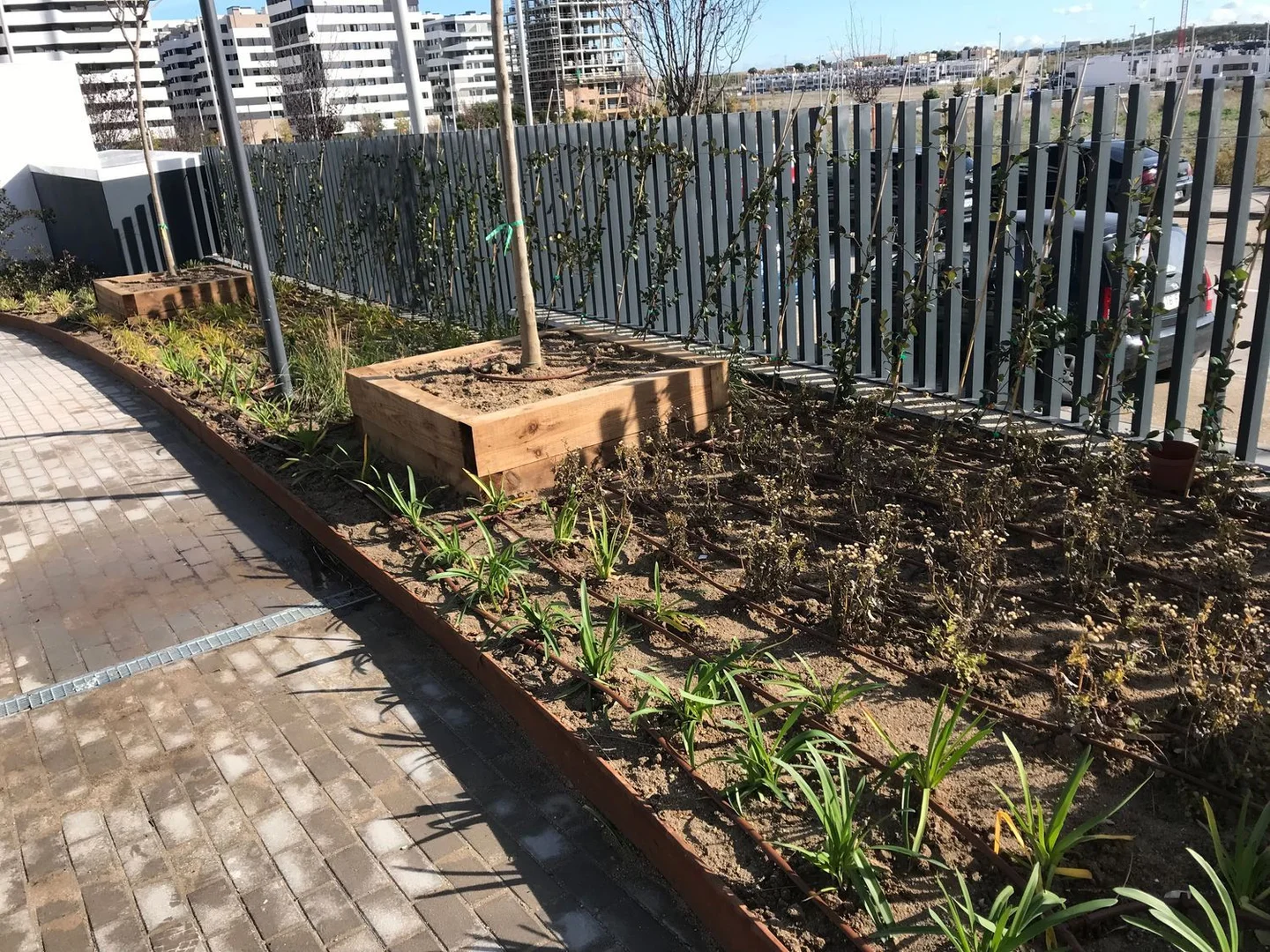 Piso en calle Ángel Martín Rodríguez, 1 - Foto 62