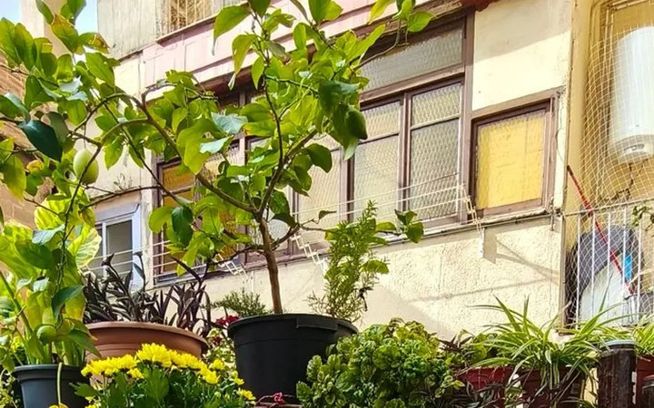 Piso en Calle de Grases, 6 ,, El Poble Sec - Parc de Montjuïc - Foto 12