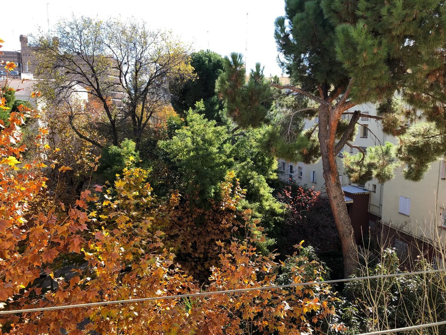 Piso en calle de Pinilla del Valle, 12 - Foto 2