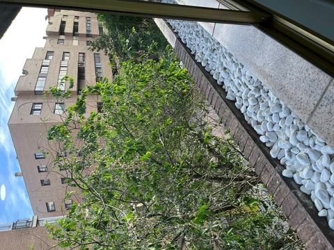 Estudio en calle de la Infanta María Teresa, 7 - Foto 8