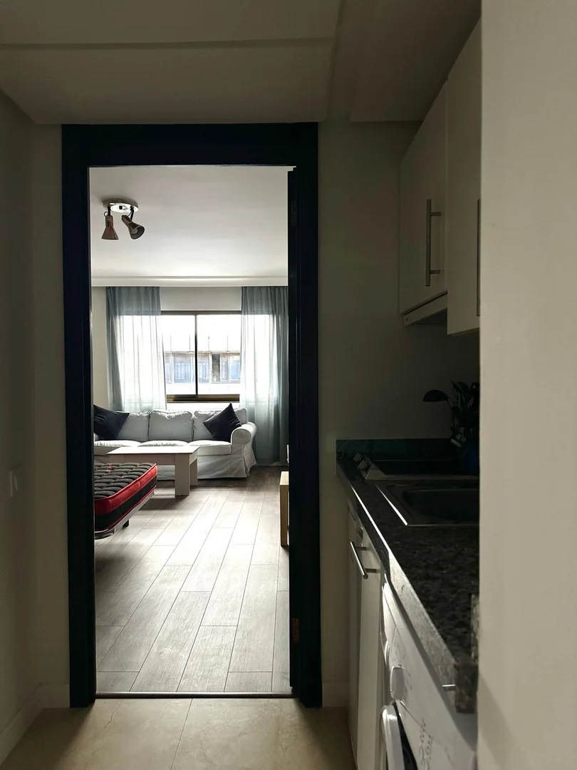 Estudio en calle de Núñez de Balboa, 116 - Foto 7