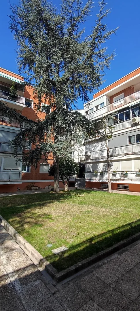 Piso en calle del Marqués de Pico Velasco, 45 - Foto 14