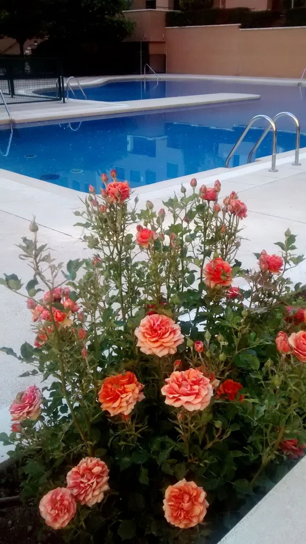 Piso en Calle Minerva, 81, Valdebernardo - Valderrivas - Foto 25