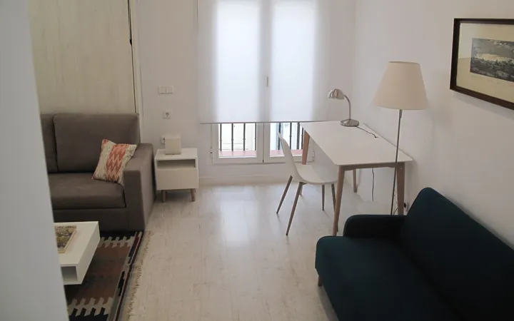 Estudio en Plaza del Cordón, 1, Palacio - Foto 12