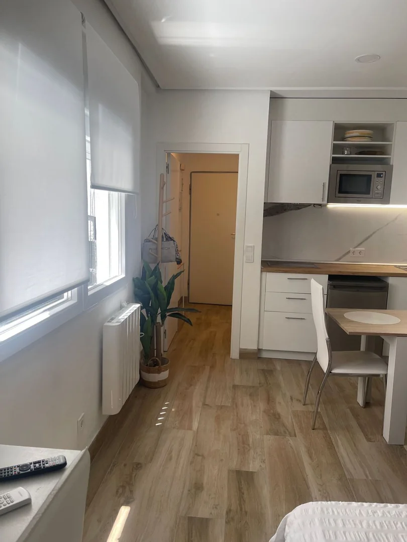 Estudio en Calle de Hortaleza, 8, Chueca-Justicia - Foto 2