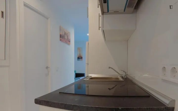 Estudio en Calle de Berruguete, Berruguete - Foto 4