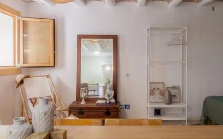 Estudio en Calle de la Riera Alta, El Raval - Foto 4