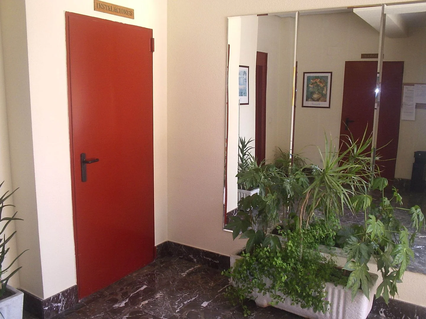 Piso en Avenida Niza, 6 - Foto 4
