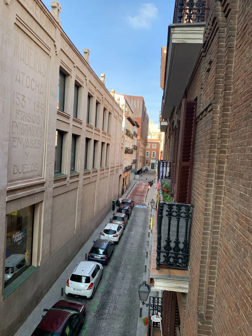 Piso en paseo del Prado, 42 - Foto 27