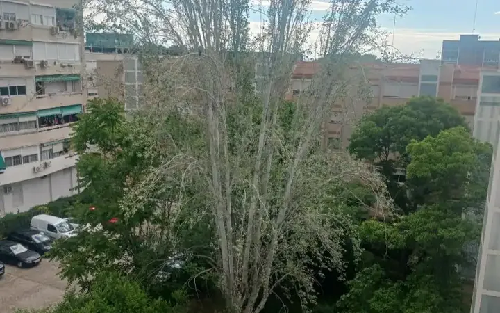 Piso en  Calle Tunja 12 - Foto 1