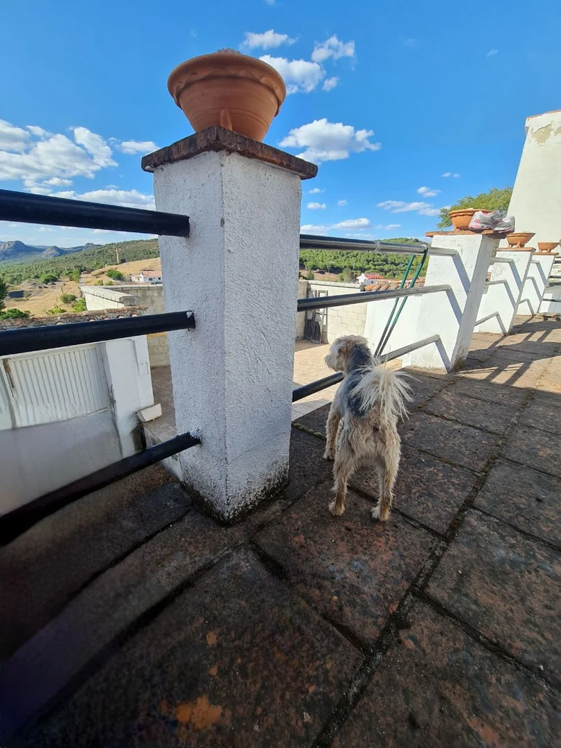 Casa rural en venta en Calle la Purisima, 28 - Foto 65