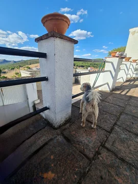 Casa rural en venta en Calle la Purisima, 28 - Foto 65