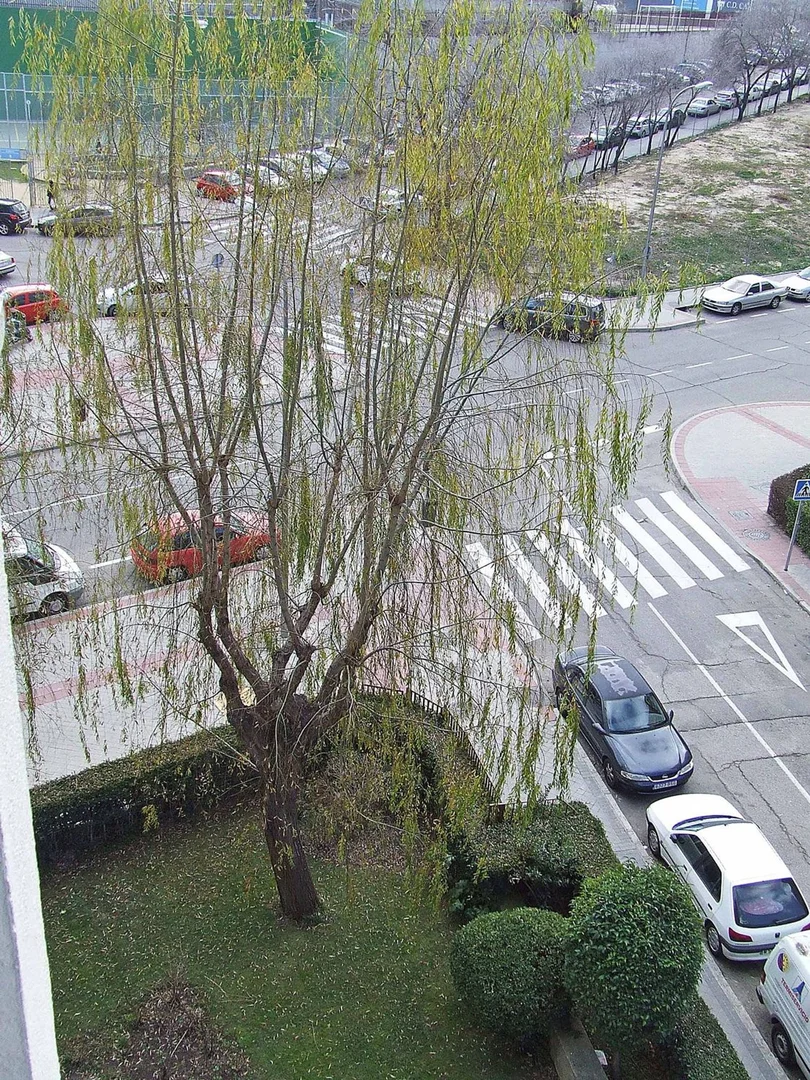 Piso en calle de Torregrosa, 4 - Foto 16