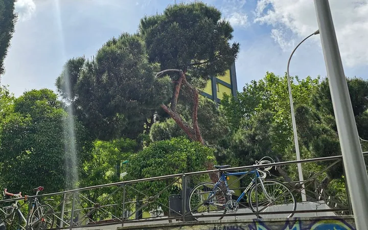 Piso en Sánchez Preciado, 40, Valdezarza - Foto 16