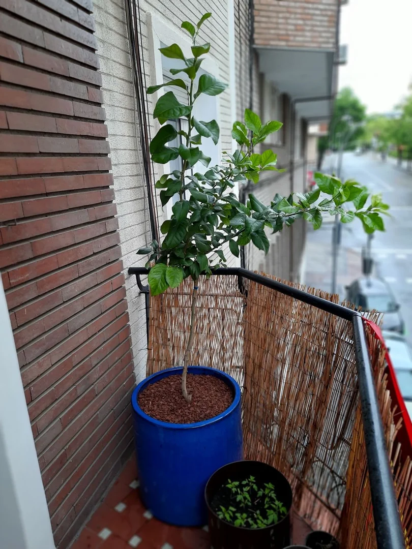 Piso en Calle de Marcenado, 37, Ciudad Jardín - Foto 16