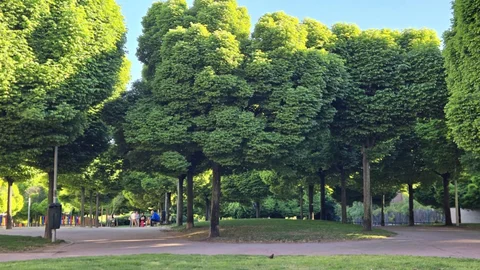 Piso en  Calle de Atapuerca 5 - Foto 17