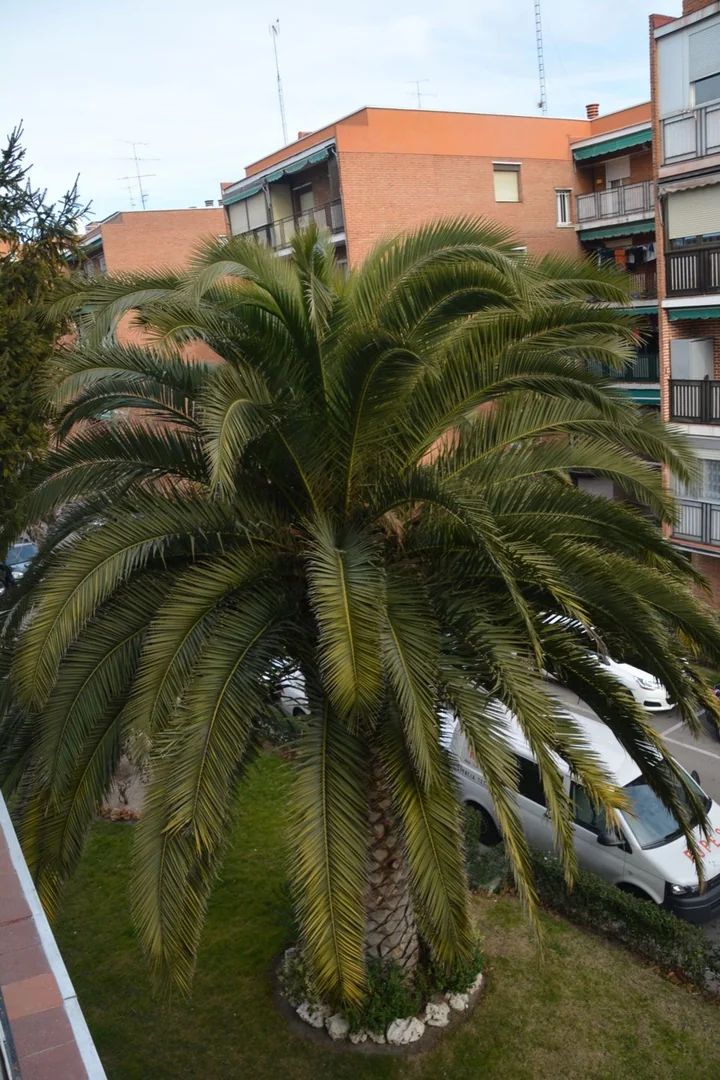 Piso en Aluche, Aluche - Foto 19