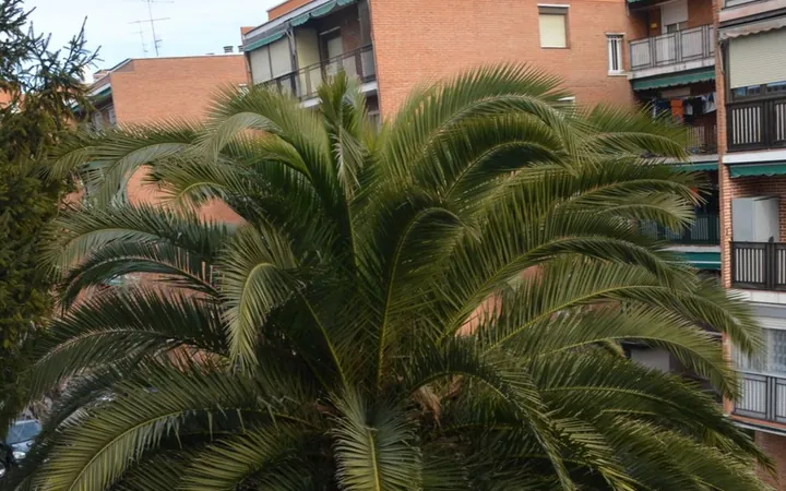 Piso en Aluche, Aluche - Foto 19