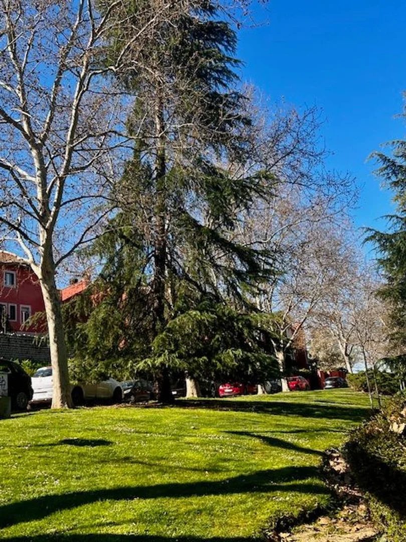 Piso en calle Aviador Franco, 12 - Foto 19