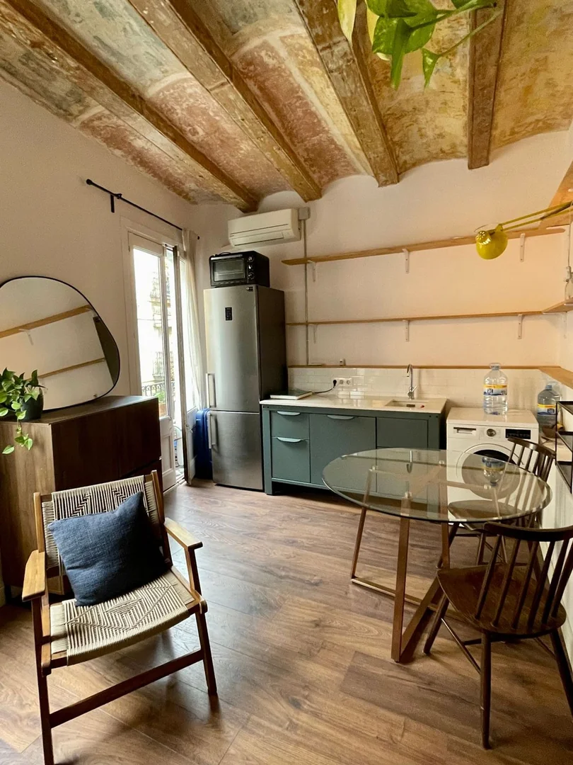 Estudio en Calle de Valldonzella, 37, El Raval - Foto 3