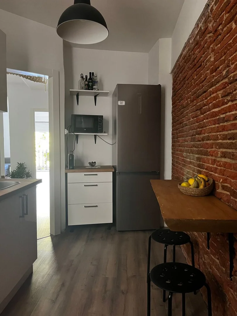 Piso en Calle del Amparo, 30, Lavapiés-Embajadores - Foto 10