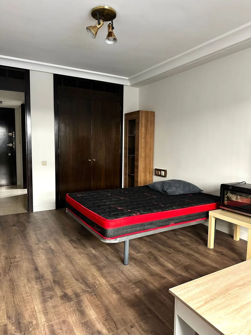 Estudio en calle de Núñez de Balboa, 116 - Foto 3