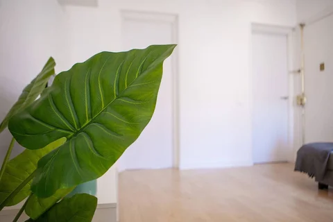 Piso en paseo de Extremadura, 73 - Foto 20