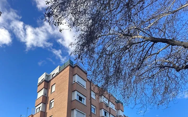 Estudio en Calle Esteban Collantes, Pueblo Nuevo - Foto 3