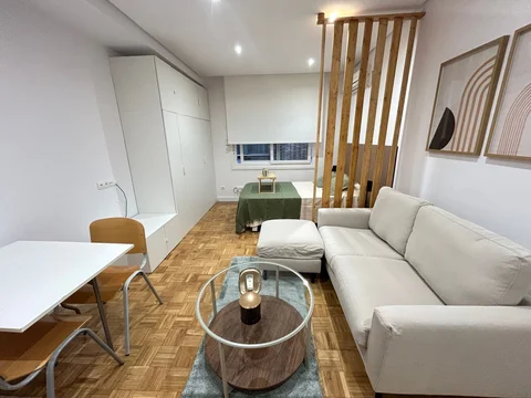 Estudio en calle de Vargas, 3 - Foto 3