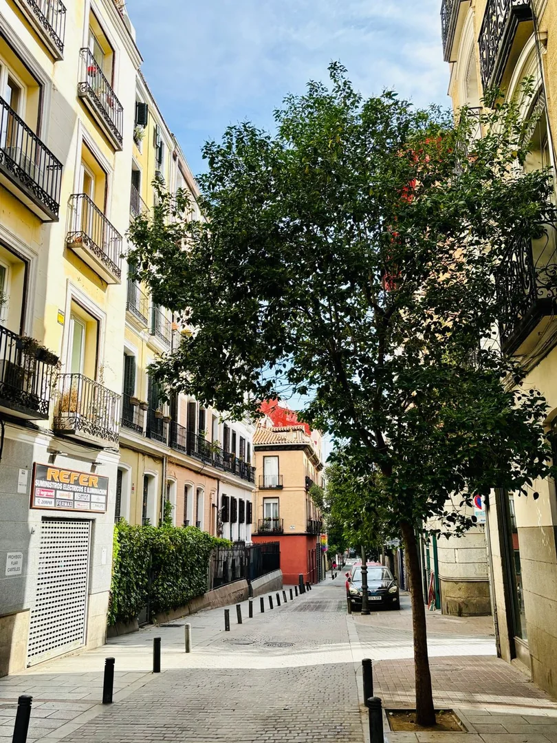 Piso en Chueca-Justicia, Chueca-Justicia - Foto 4