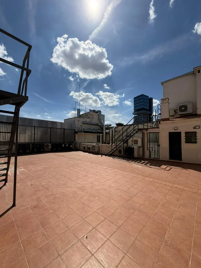 Dúplex en Calle de Hermosilla, 6 - Foto 10