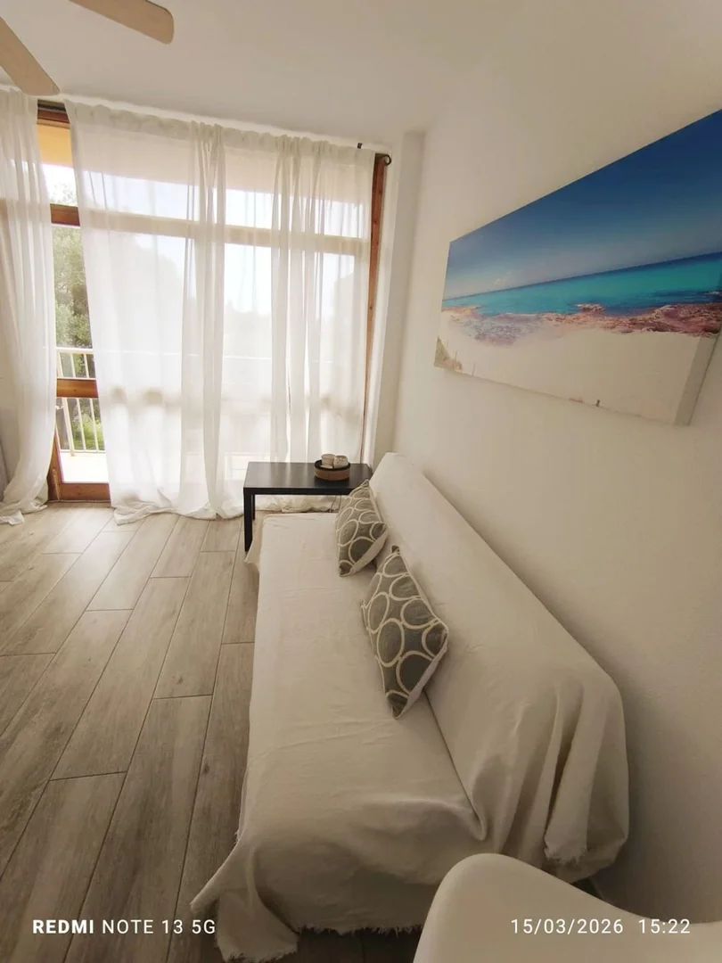 Estudio en Sa Mola, 160, Cales de Mallorca, Cales de Mallorca - Foto 3