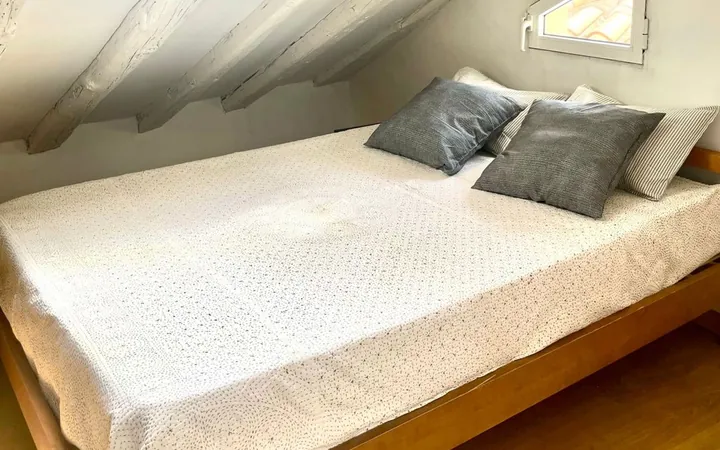 Ático en Plaza de Cascorro, 2, Lavapiés-Embajadores - Foto 12