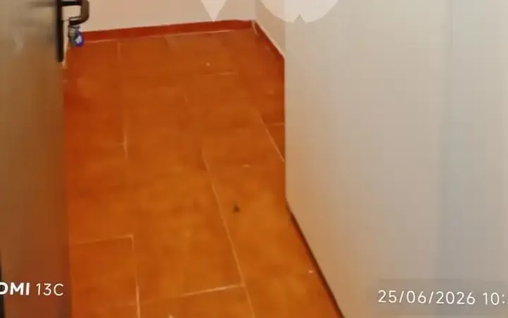 Piso en  Tintín Y Milú - Foto 37