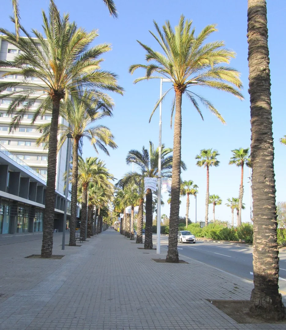 Piso en Calle de Bac de Roda, 11 X, El Poblenou - Foto 22